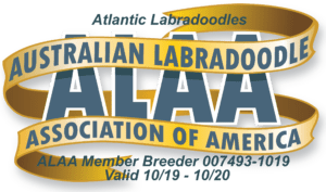 Atlantic Labradoodles ALAA Logo