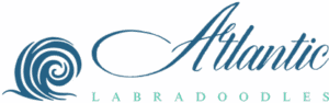 Atlantic Labradoodles Logo